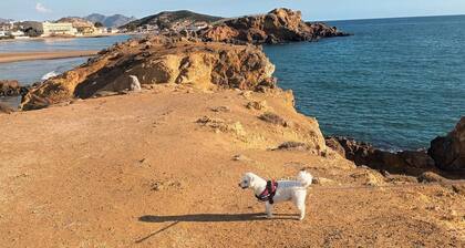 Surise Den- Walk to the beach, sea view and pool. Holiday rentals & winter stays
