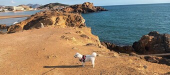 Surise Den- Walk to the beach, sea view and pool. Holiday rentals & winter stays