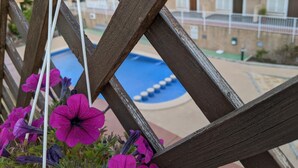 A wooden lattice structure with purple flowers in the foreground and a pool in the background. - Surise Den- Walk to the beach, sea view and pool. Holiday rentals & winter stays (Puerto de Mazarrón)