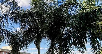 Life Resort Beira Lago