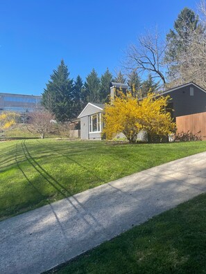 A residential area with a well-maintained lawn, a concrete driveway, and a small house with a wooden fence.