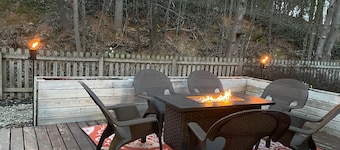 Downtown Brevard Hideaway Steps from Main St Restaurants-Dog Friendly, Fenced