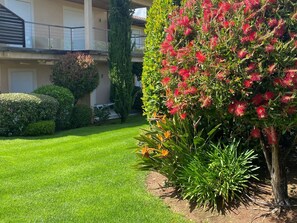 Un jardin bien entretenu, avec une variété de plantes et une pelouse soigneusement taillée, situé devant un immeuble doté de balcons.