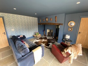 Smart TV, fireplace, table football, books