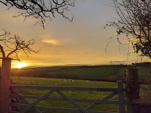Cabin | Garden - Immaculate Lotus Belle Tent Retreat, North Devon (Bideford)