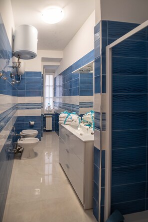 Shower, hair dryer, bidet, towels