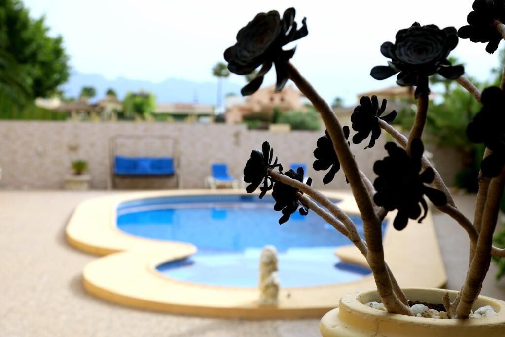 A pool with a decorative edge, surrounded by a stone wall and a few potted plants.