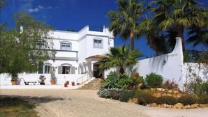 A white two-story house with a paved driveway, palm trees, and a stone wall.