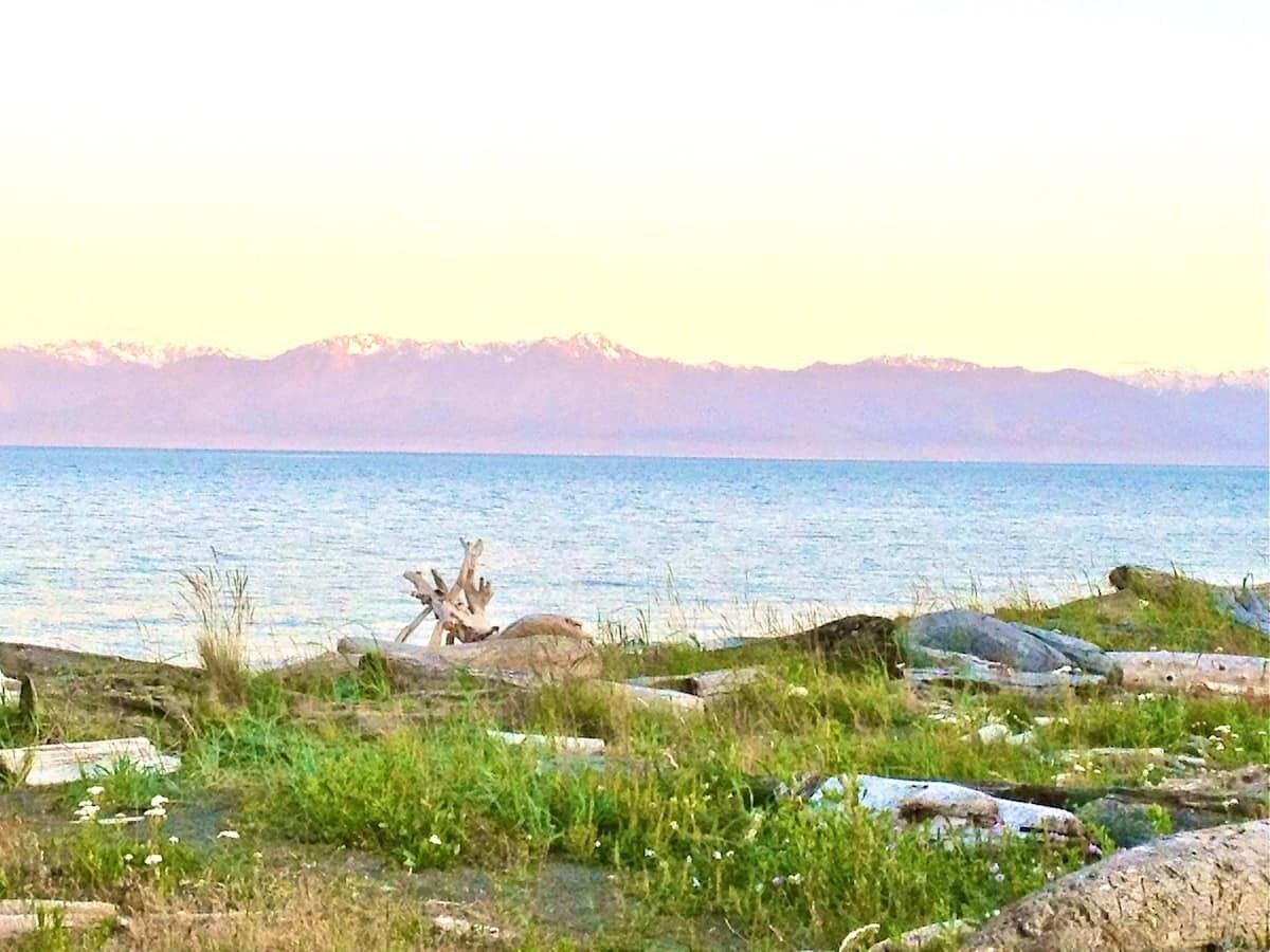 Stunning Beach Front Suite 15min To Downtown!