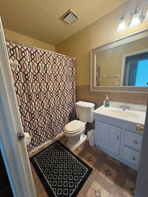 A bathroom with a patterned shower curtain, a toilet, a sink with a mirror, and a patterned rug on the floor. - Second Floor Apartment 1 block from Lafayette Park (St. Louis)