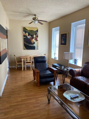 TV - Second Floor Apartment 1 block from Lafayette Park (St. Louis)