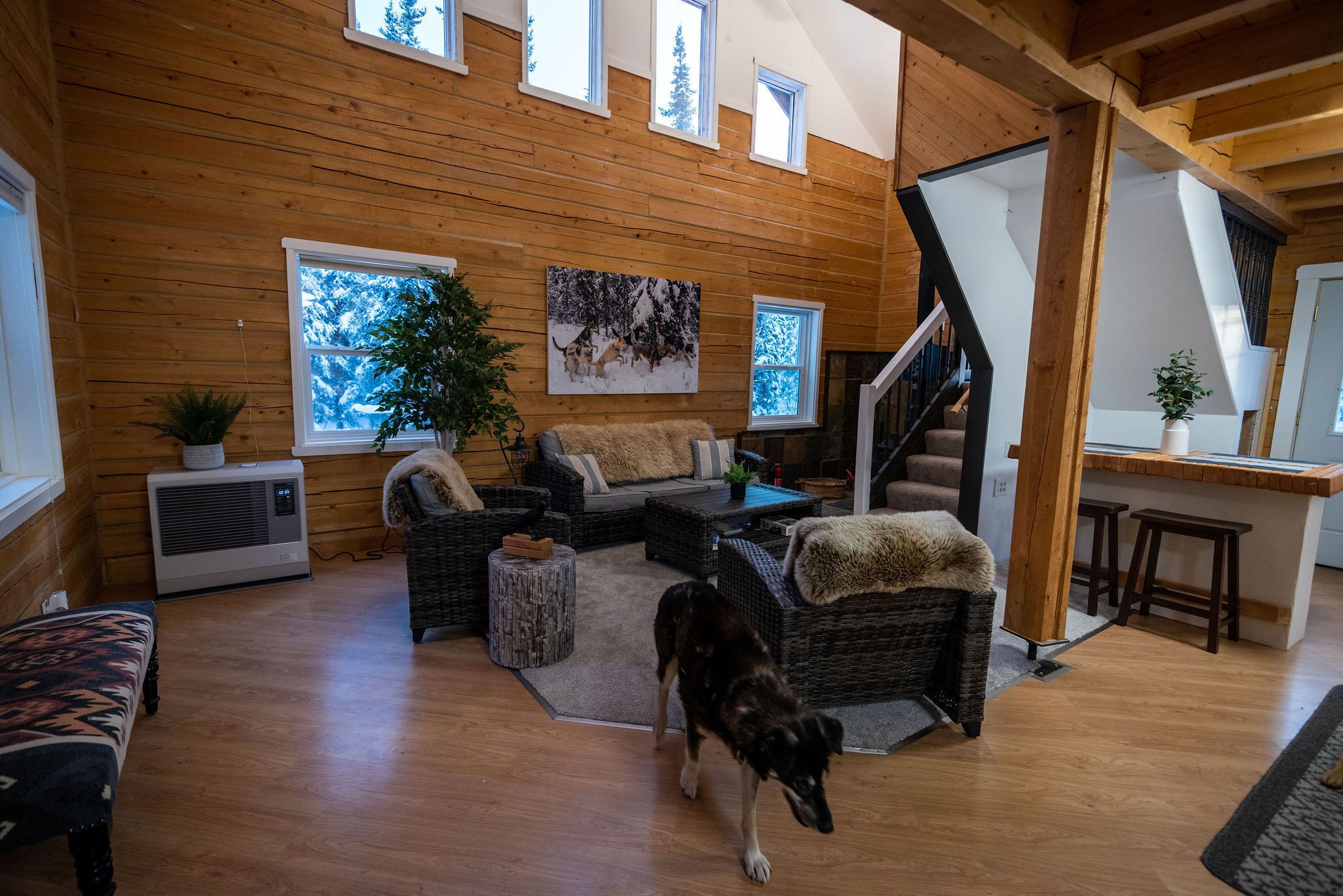 Télévision, cheminée, lecteur de DVD, livres