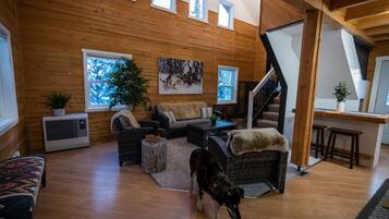 Télévision, cheminée, lecteur de DVD, livres