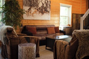 TV, fireplace, DVD player, books