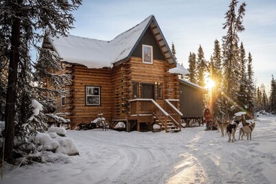 On-site Sled Dog Demo! Tucked in woods! Auroras seen here. Private.