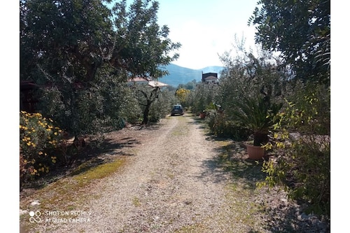 House / Villa - Sonnino