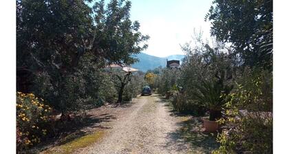 House / Villa - Sonnino