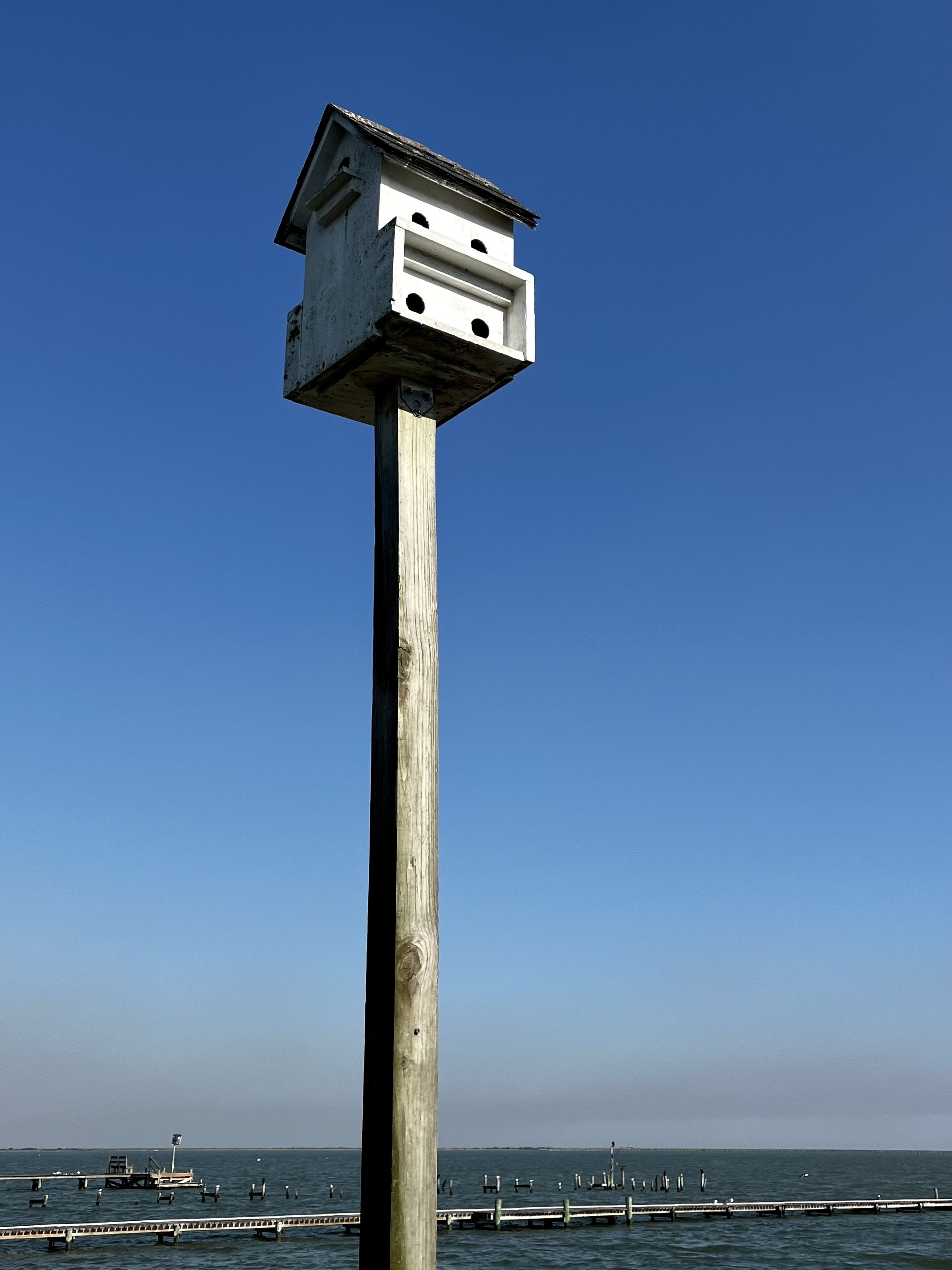 Een hoge houten constructie met een witte vogelhuisje bovenop, nabij een waterpartij met een steiger en verschillende vogels.