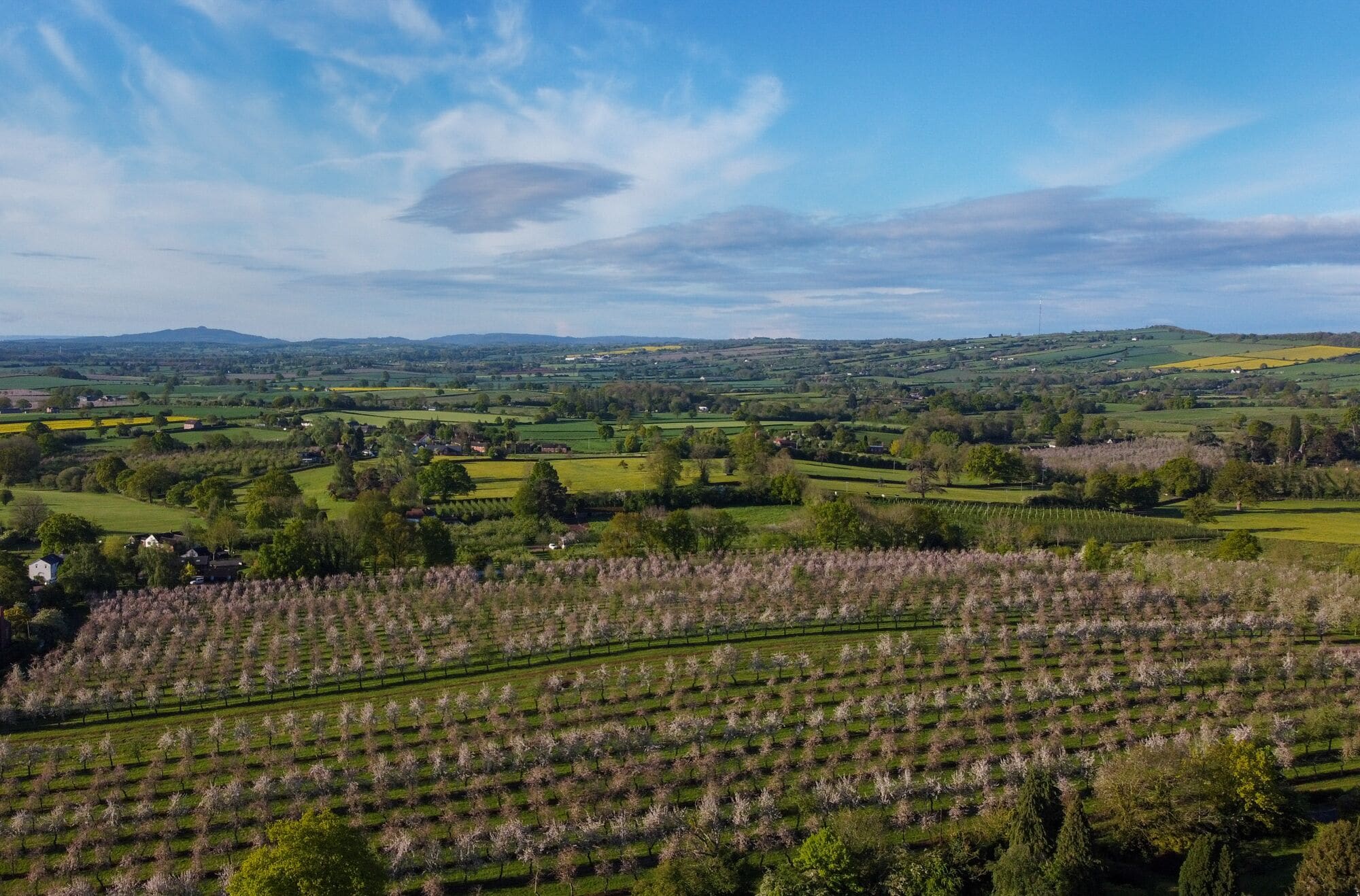 A rural landscape with fields, trees, and a distant mountain range.