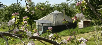 Dragon Orchard Retreat