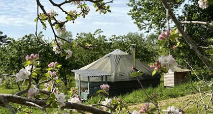 Dragon Orchard Retreat