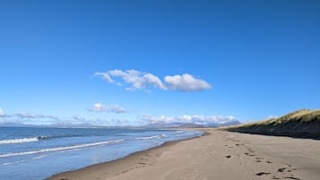 Playa en los alrededores