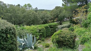 A landscaped garden with various shrubs and a large agave plant.
