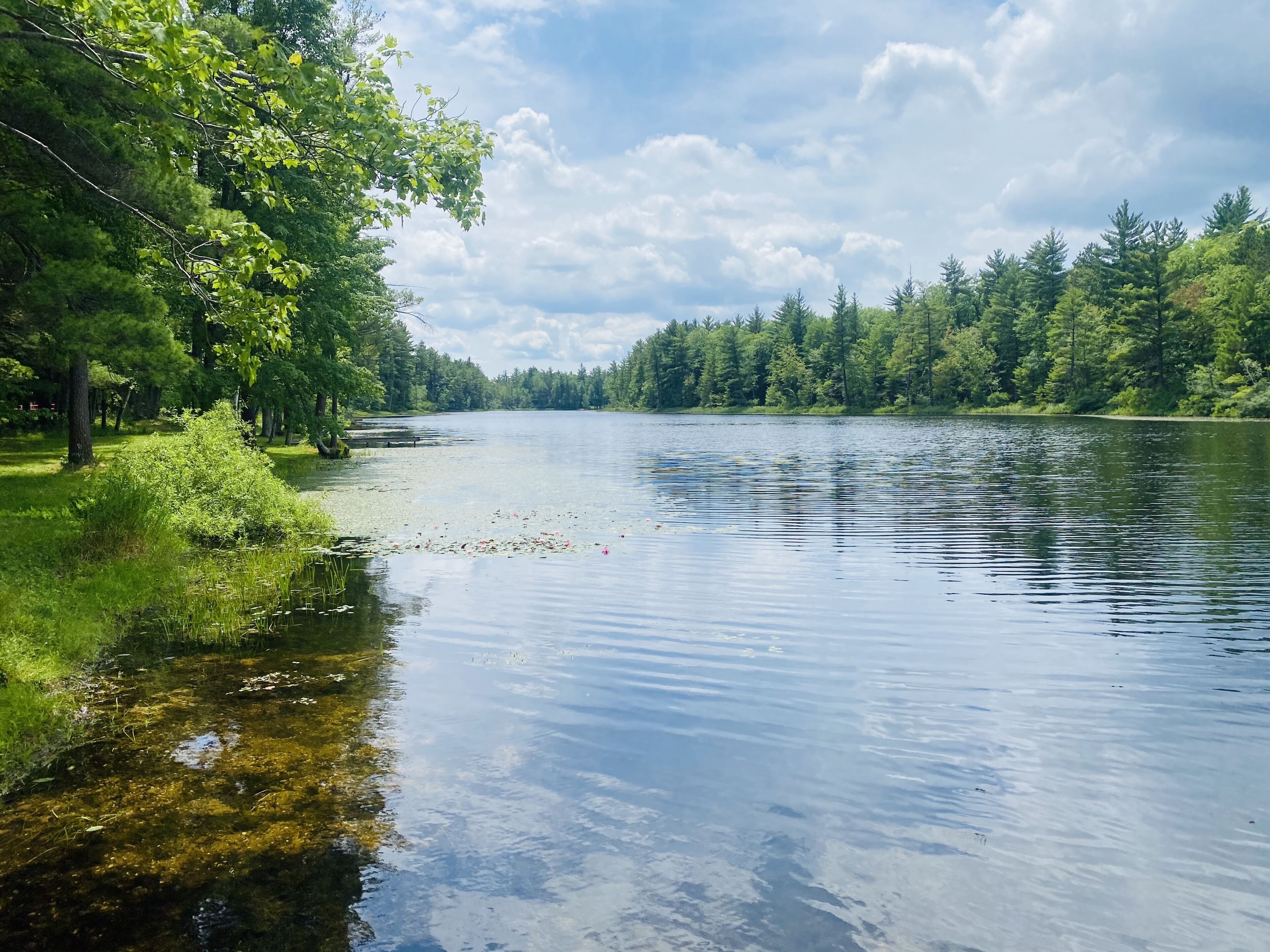 New 2 Bedroom 1 Bath on Dorner Lake! Fish, Hunt, Ski, Tube!!