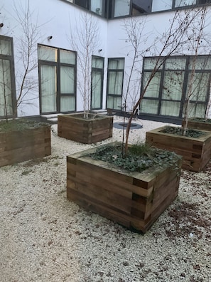 Appartement Luxe, accessible aux personnes à mobilité réduite, salle de bains privée (Capital Drive) | Jardin