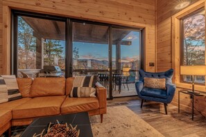 Smart TV, chimenea, reproductor de DVD y libros 