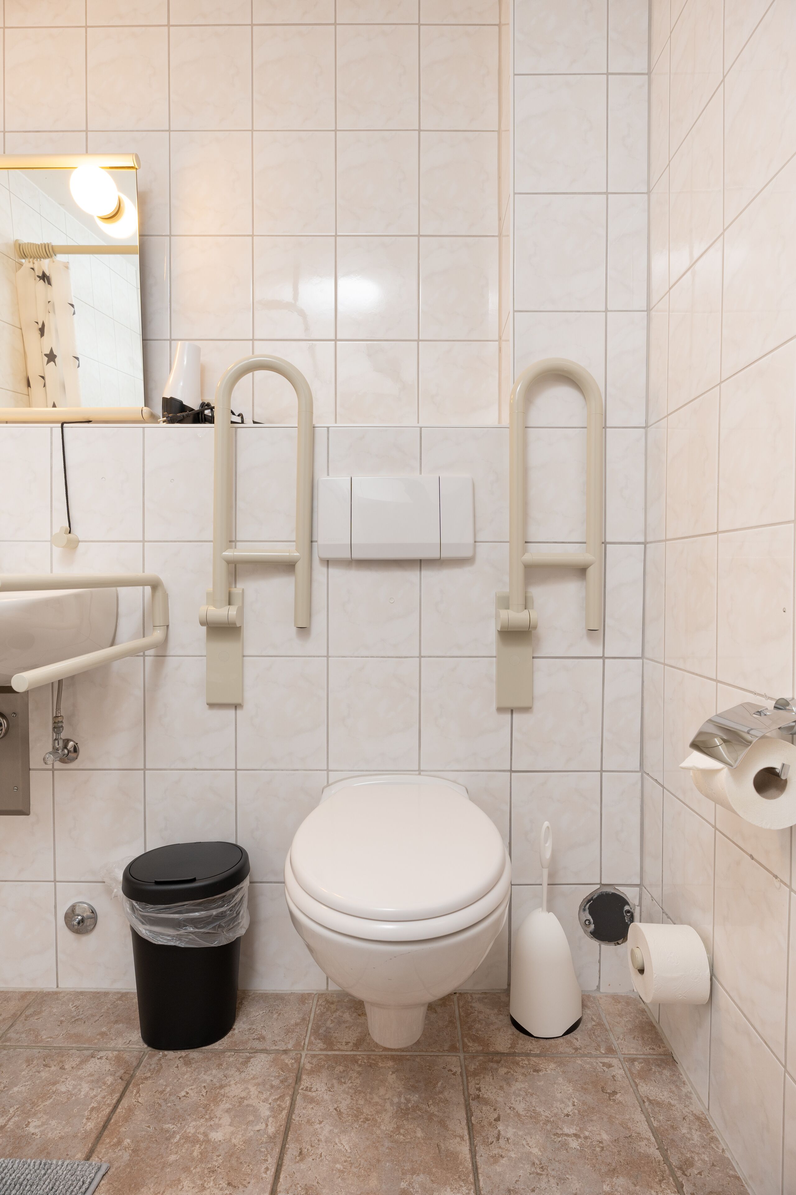 A bathroom with a toilet, sink, mirror, and handrails.