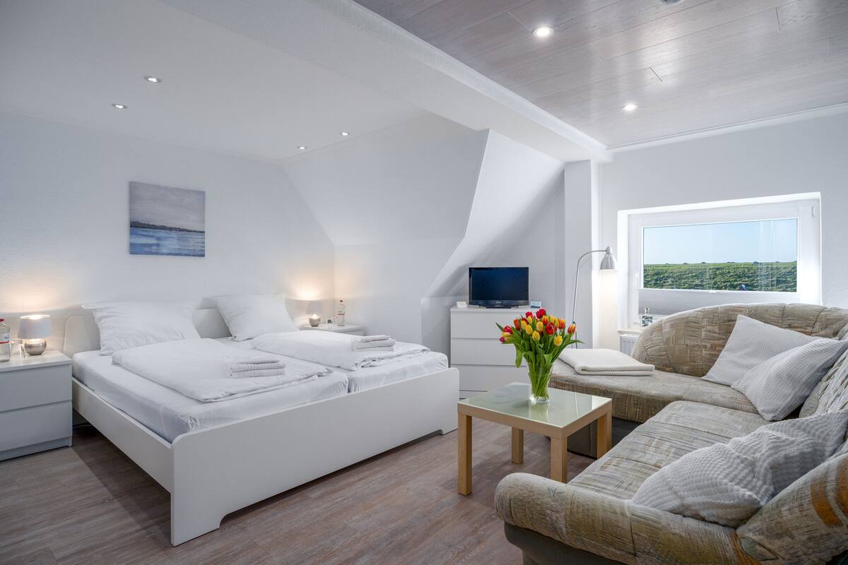 Een moderne slaapkamer met een groot bed, een bank, een televisie en een raam met uitzicht.