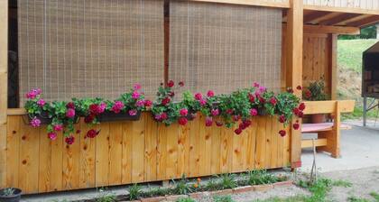 Apartments & Rooms Rendulić - Two bedroom Suite with shared Terrace