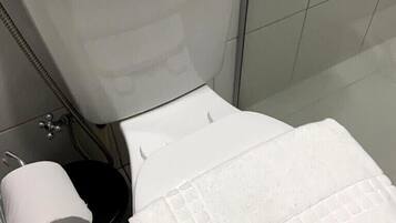 Chuveiro, secador de cabelo, toalhas de banho, sabonete