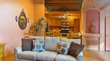 Smart TV, fireplace, books