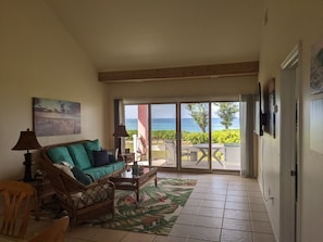 Smart TV - OCEAN FRONT Conch Pearl -Green Turtle Cay with a dock! 15% APRIL DISCOUNT! (Abaco)