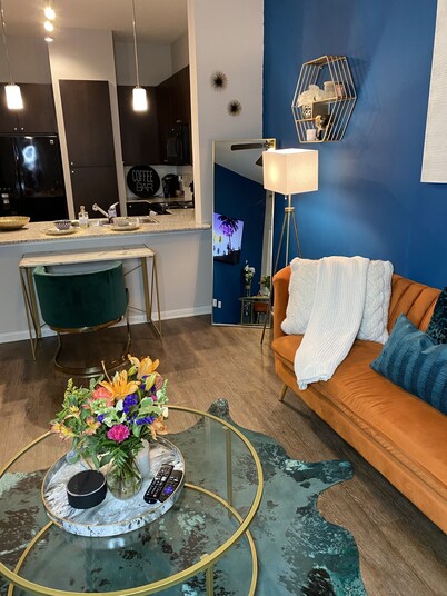 Sophisticated Haus- Houston Near NRG Stadium