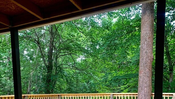 A wooden deck with a railing, surrounded by trees.