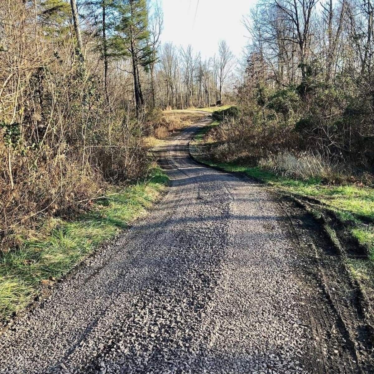 A gravel road surrounded by trees and shrubs.