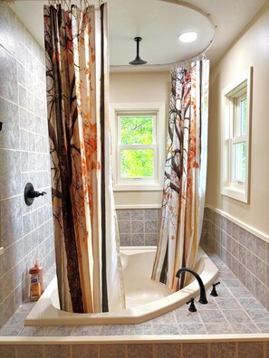 Combined shower/tub, jetted tub, hair dryer, towels - Serenity Heights - Peaceful Country Acres with beautiful view in every direction (Osceola)