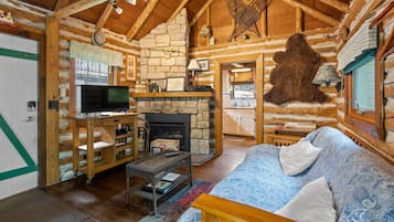 TV connectée, cheminée, livres