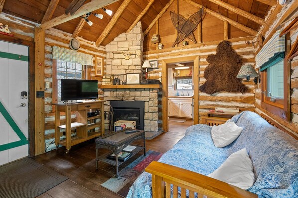 Smart TV, fireplace, books