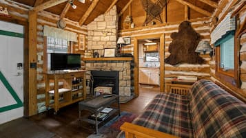 スマートテレビ、暖炉、書庫