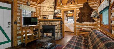 Smart TV, fireplace, books
