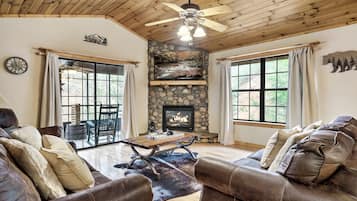 Smart TV, fireplace, DVD player, books