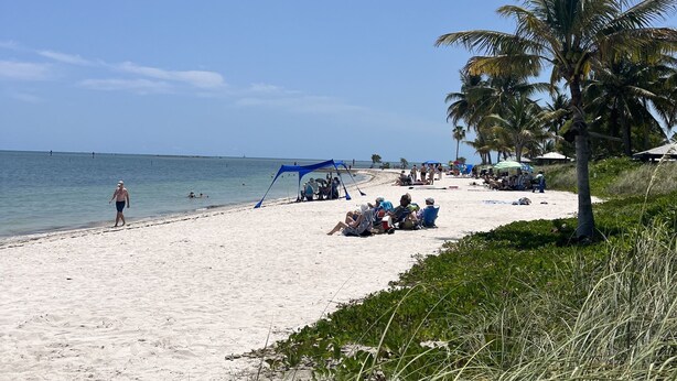 A beach with people relaxing, some under umbrellas, and a palm tree. - BeachHouse @ Sombrero & Ocean access w/45’ Dock, kayaks and Bikes. (Marathon)