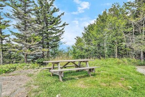 Ein Picknicktisch in einem Waldgebiet mit einem Kiesweg, der darauf führt.