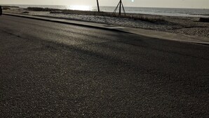 A beach scene with a road, palm trees, and the ocean.