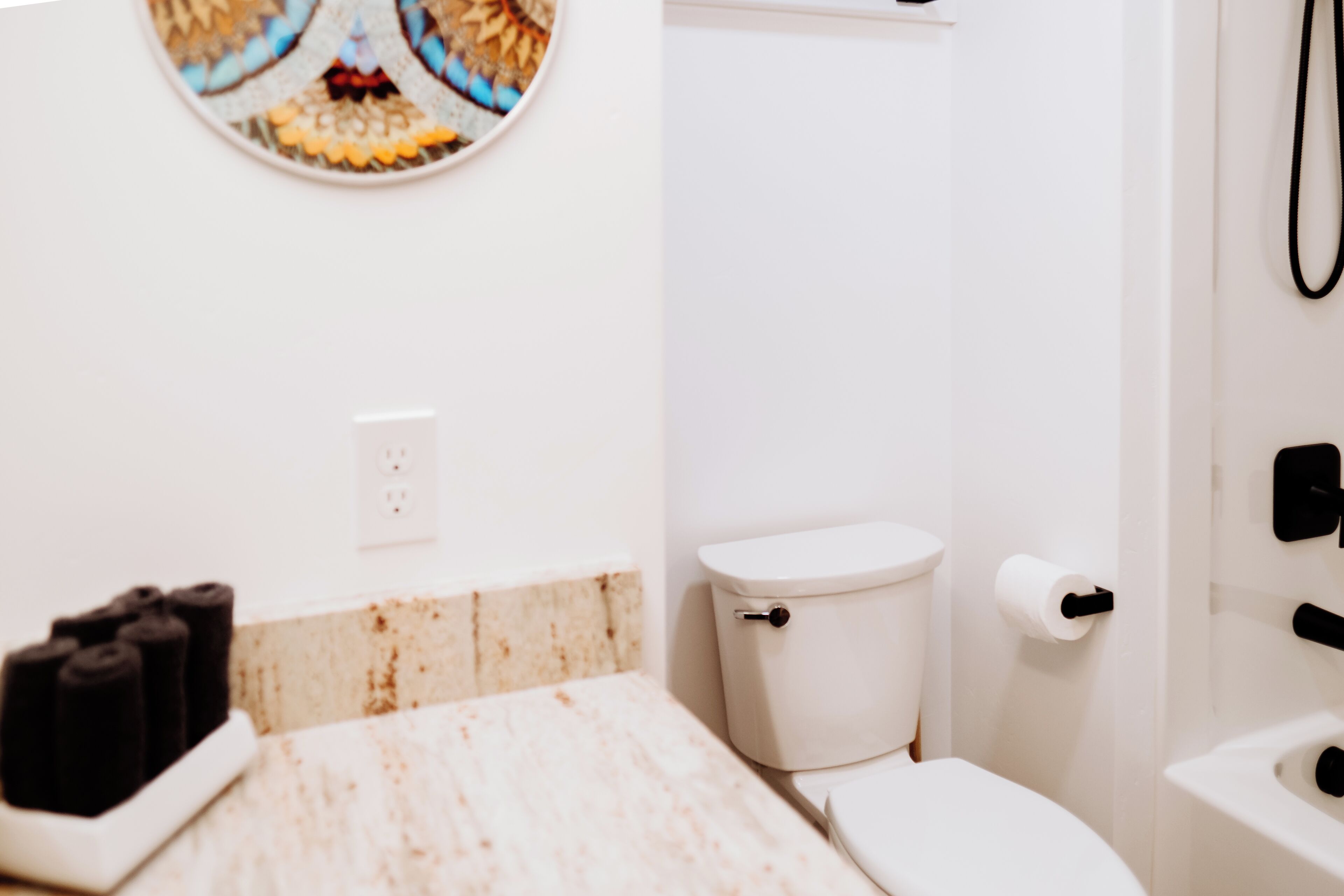 A bathroom with a toilet, a sink, and a shower. There is a decorative plate on the wall above the toilet.