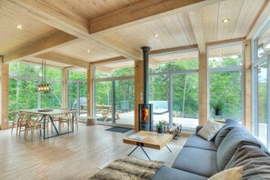Smart TV, fireplace, books, stereo